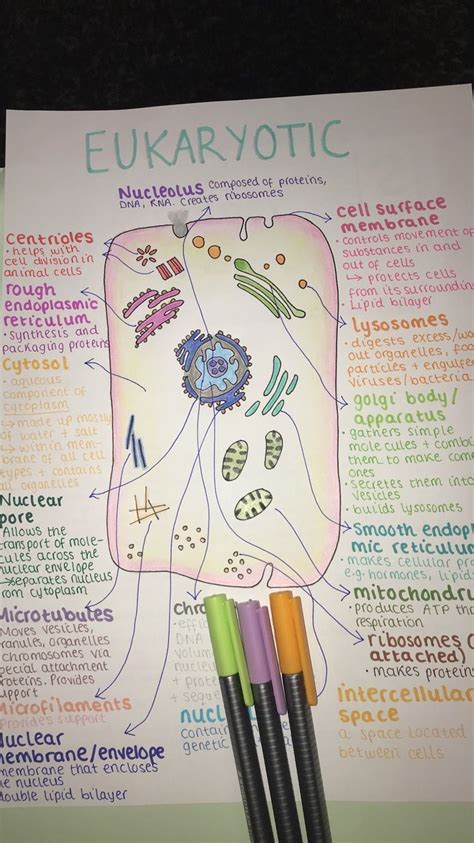 a level biology detailed notes